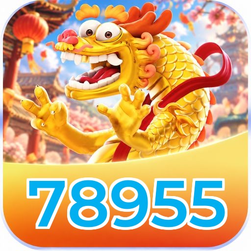 78955 Win FAQ