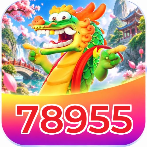 78955 Troubleshooting